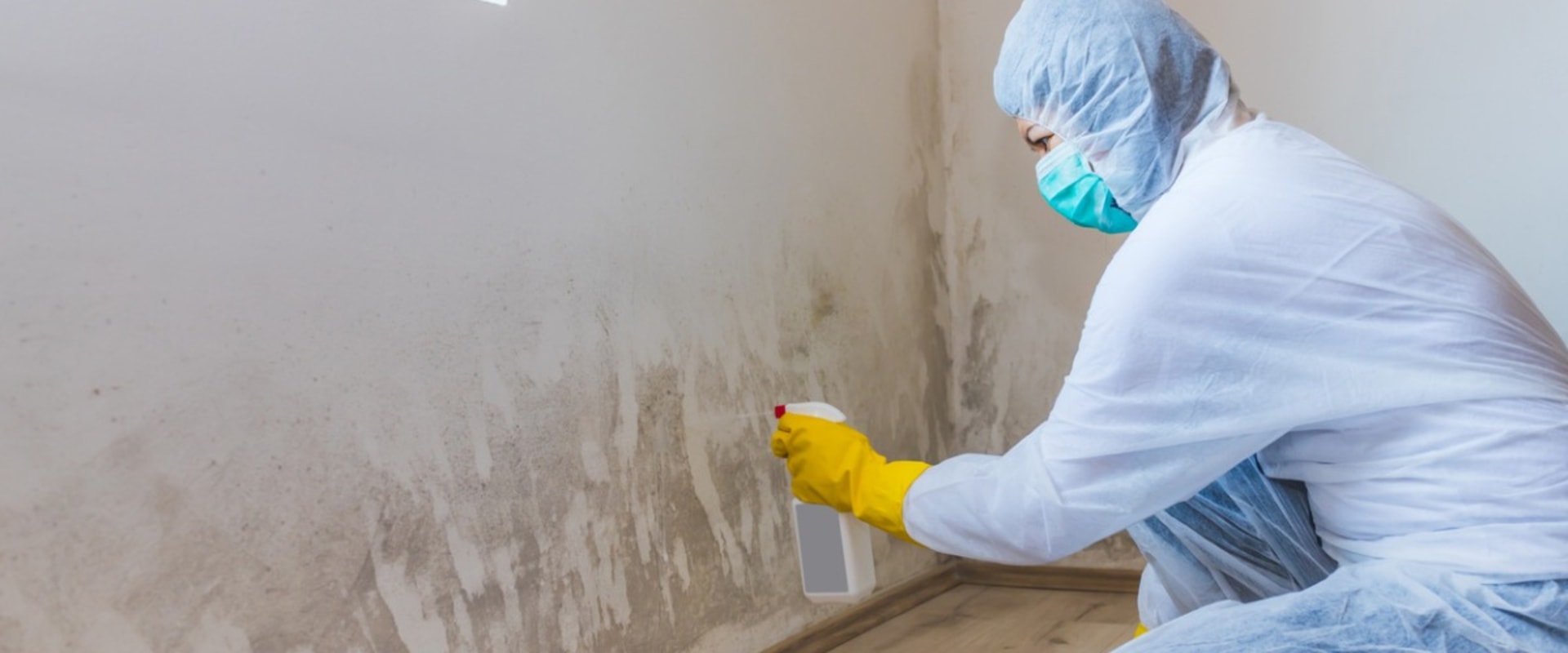 Mold Remediation and Repair: A Comprehensive Overview