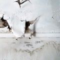 DIY Water Damage Repairs: A Comprehensive Overview