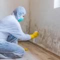 Mold Remediation and Repair: A Comprehensive Overview